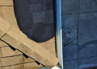 Gutter Cleaning Company